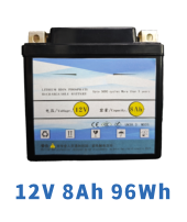 Portable Power Station 96Wh 12V 8Ah LiFePO4 Battery | Compact Backup Power Supply with USB & DC Output